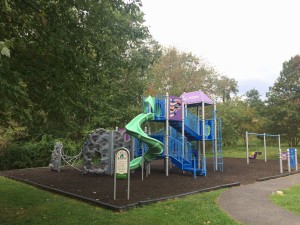 The ADA accessible play structure at King Park. Photo by Atticus Rice.