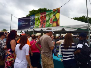 The crowd at the Annual Maryland Wine Festival of Carroll County. Photo by Lauren Trainor.