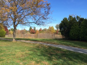 The foot path at Dutterer Park provides glorious views for those who take advantage of its location.