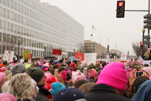 A view from the crowd. Photo by Jimmy Calderon